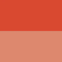 ABSOLUTE NEW YORK CHEEKY BLOOM BLUSH FLUSHED POPPY 01 - Image 3