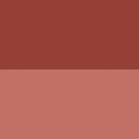 ABSOLUTE NEW YORK CHEEKY BLOOM BLUSH RUSTIC CARNATION 05 - Image 3