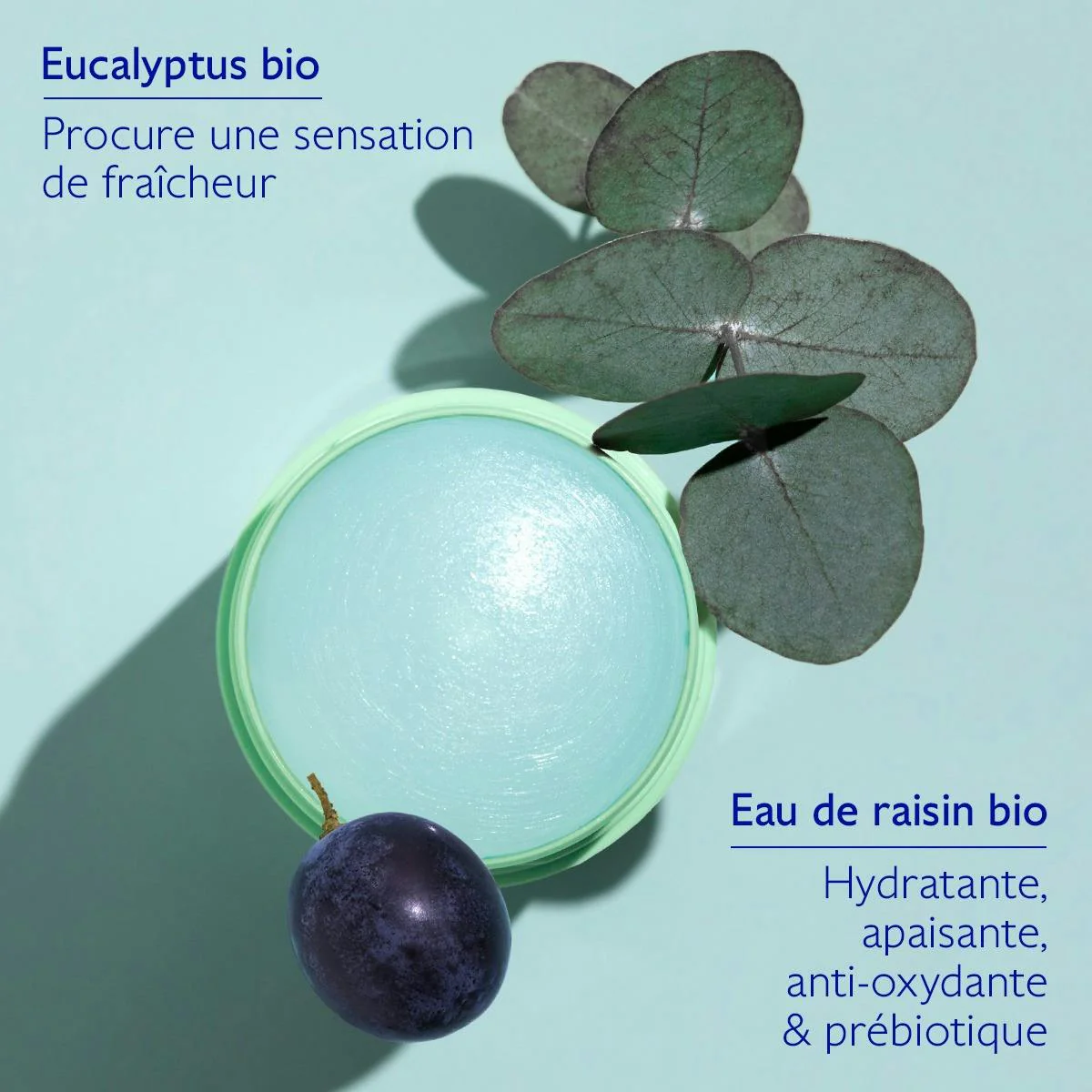 CAUDALIE Vinofresh Déodorant Stick Naturel 50 ml - Image 7