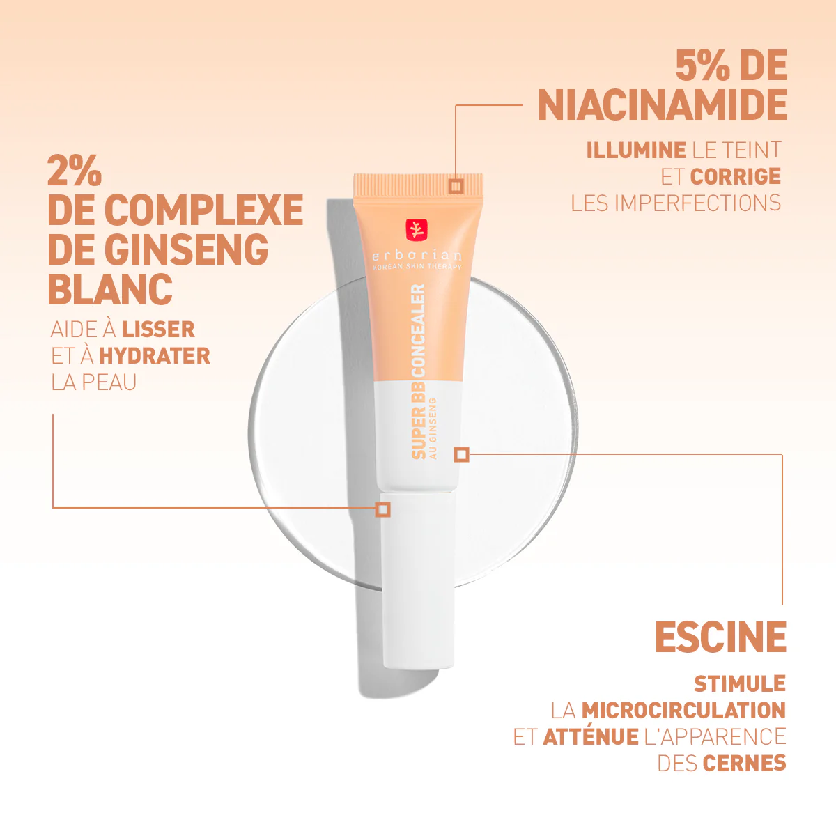 Erborian Super BB Concealer - Soin anticernes haute couvrance 10ml - Image 5