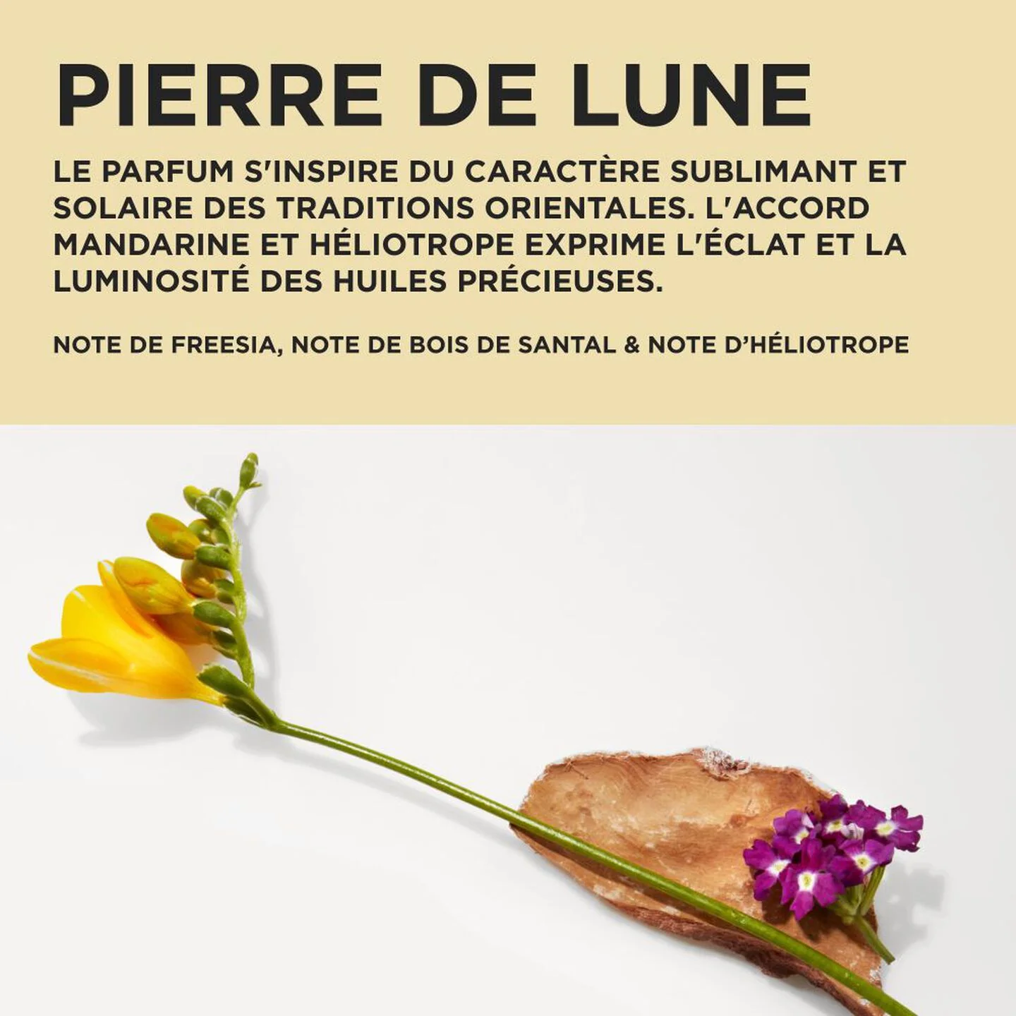Kérastase Elixir Ultime – Coffret Cadeau Duo Nutrition & Éclat - Image 4