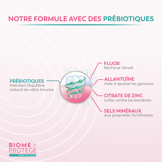 Sanogyl dent biome protege gencives 75ml - Image 2